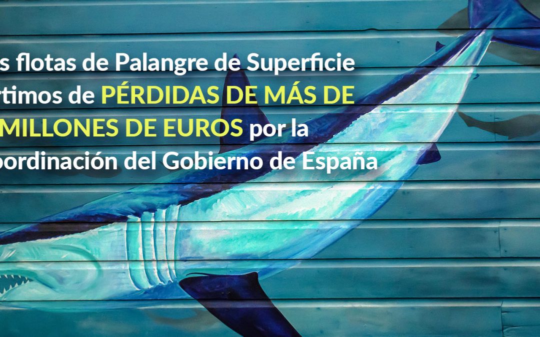 EL PALANGRE DE SUPERFICIE ADVIERTE DE PÉRDIDAS MILLONARIA POR LA DESCOORDINACIÓN DEL GOBIERNO DE ESPAÑA