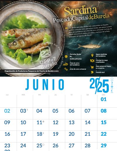 OPP7_CALENDARIO2025_06