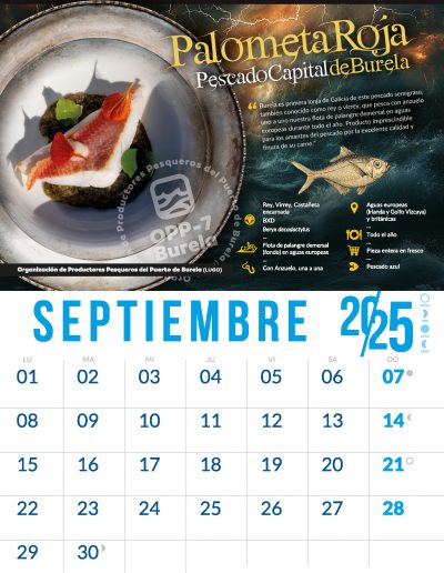 OPP7_CALENDARIO2025_09