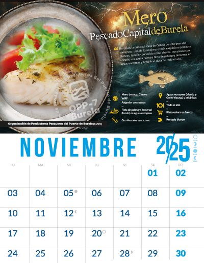 OPP7_CALENDARIO2025_11