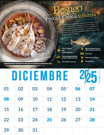 OPP7_CALENDARIO2025_12