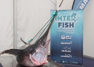 250510_INTERFISH_017