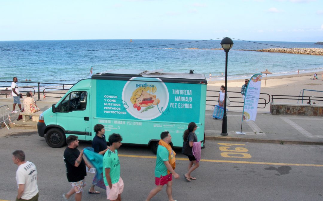 ¿CONOCES NUESTROS PESCADOS PROTECTORES? TINTORERA, MARRAJO Y PEZ ESPADA