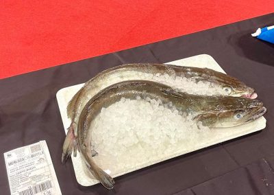 250408_MERLUZABURELA_203