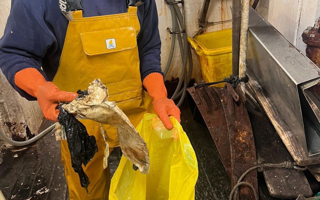 DESDE EL PUERTO DE BURELA APOSTAMOS POR UN MAR LIMPIO Y UN OCÉANO SANO