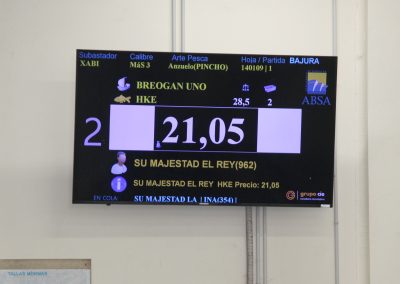 250617_SSMM_OPP7_068