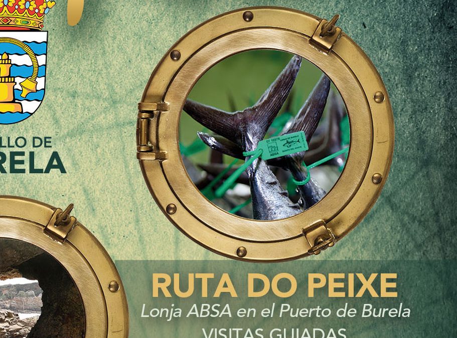 RUTA DO PEIXE: ESTE VERANO VUELVEN LAS VISITAS GUIADAS A LA LONJA DE BURELA