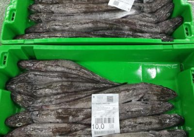 250710 OPP7 ABSA VISITAS25+3