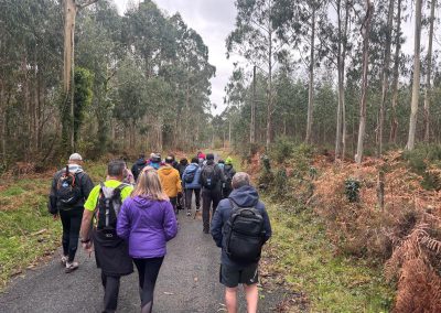 251116_CAMIÑOMAR_504