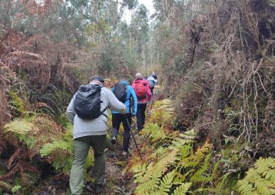 251116_CAMIÑOMAR_517