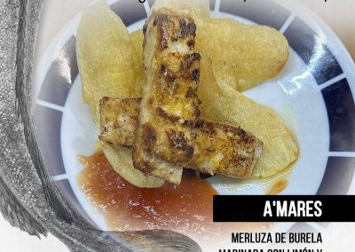 OPP7_2510_BURELAPONTEMERLUZA_RRSS4+02 AMARES