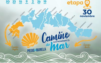 CAMIÑO DO MAR 2025 | Etapa 7: Valdoviño > Narón > Neda