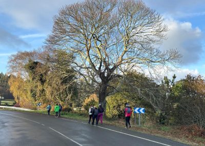 251130_CAMIÑOMAR_710