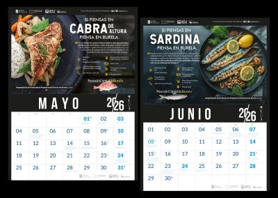 OPP7_2026_CALENDARIOH+4