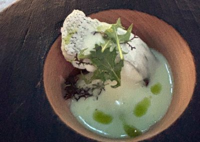 260127 OPP7 MFUSION 35