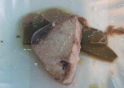 260127 OPP7 MFUSION 54