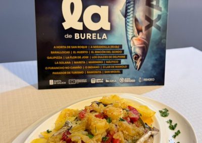 260422 el rincon gordo