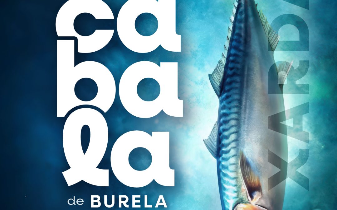 XORNADAS DE LA CABALLA DE BURELA EN RIBADEO